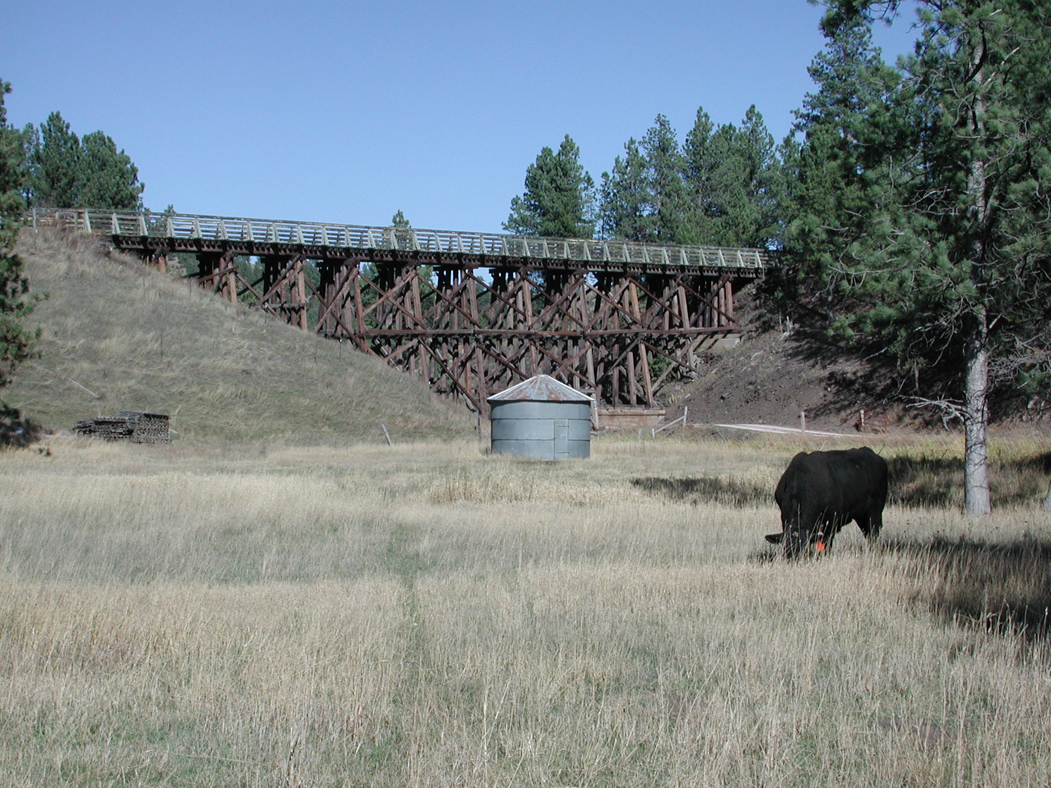 Bridge On the
                Mickelson