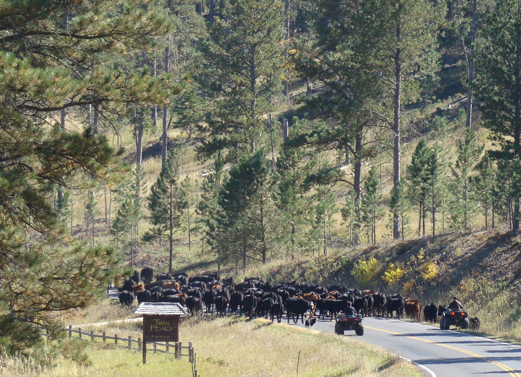 traffic
              jam