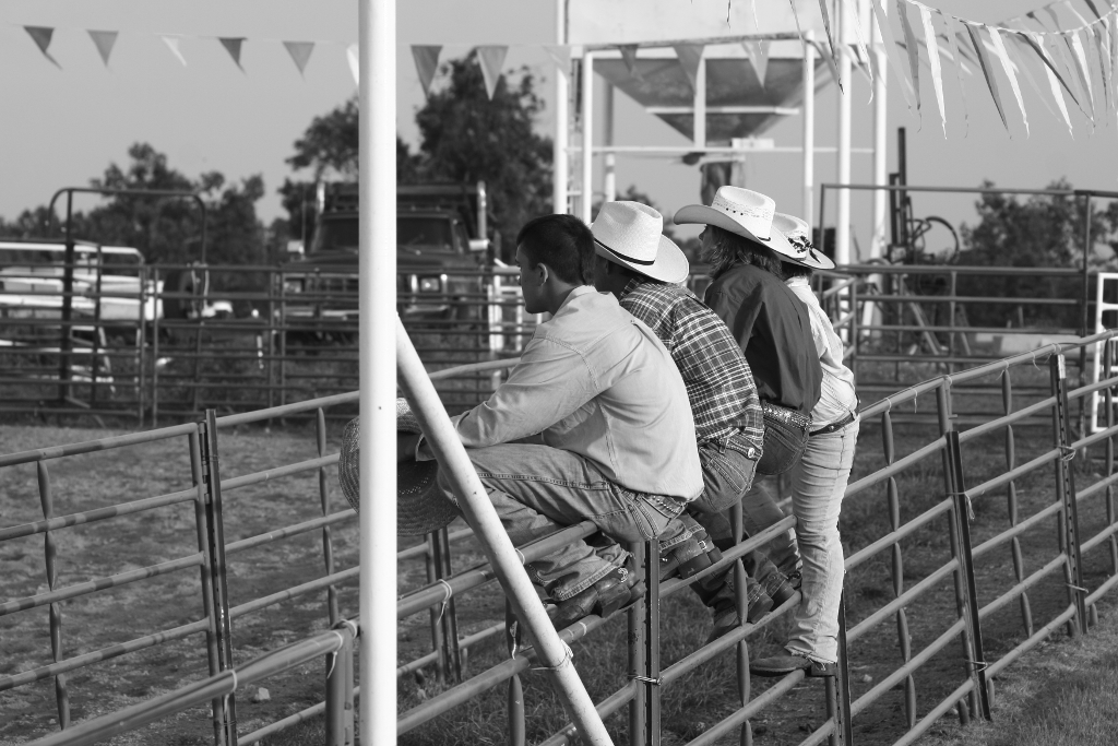 Chute Roosters
