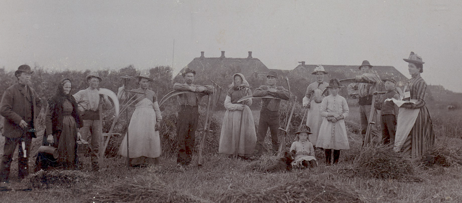 Harvest Time